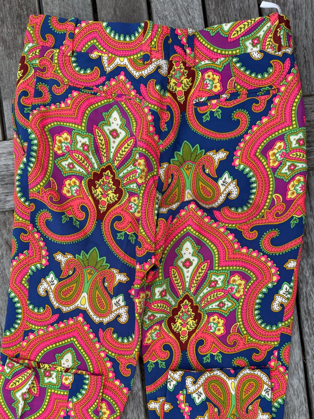 Celine Vibrant Paisley Ankle Pants in Navy, Pink & Green